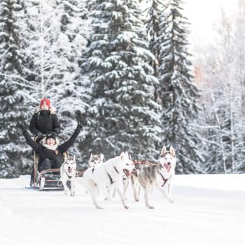 Huskysafari Golden Resortilla