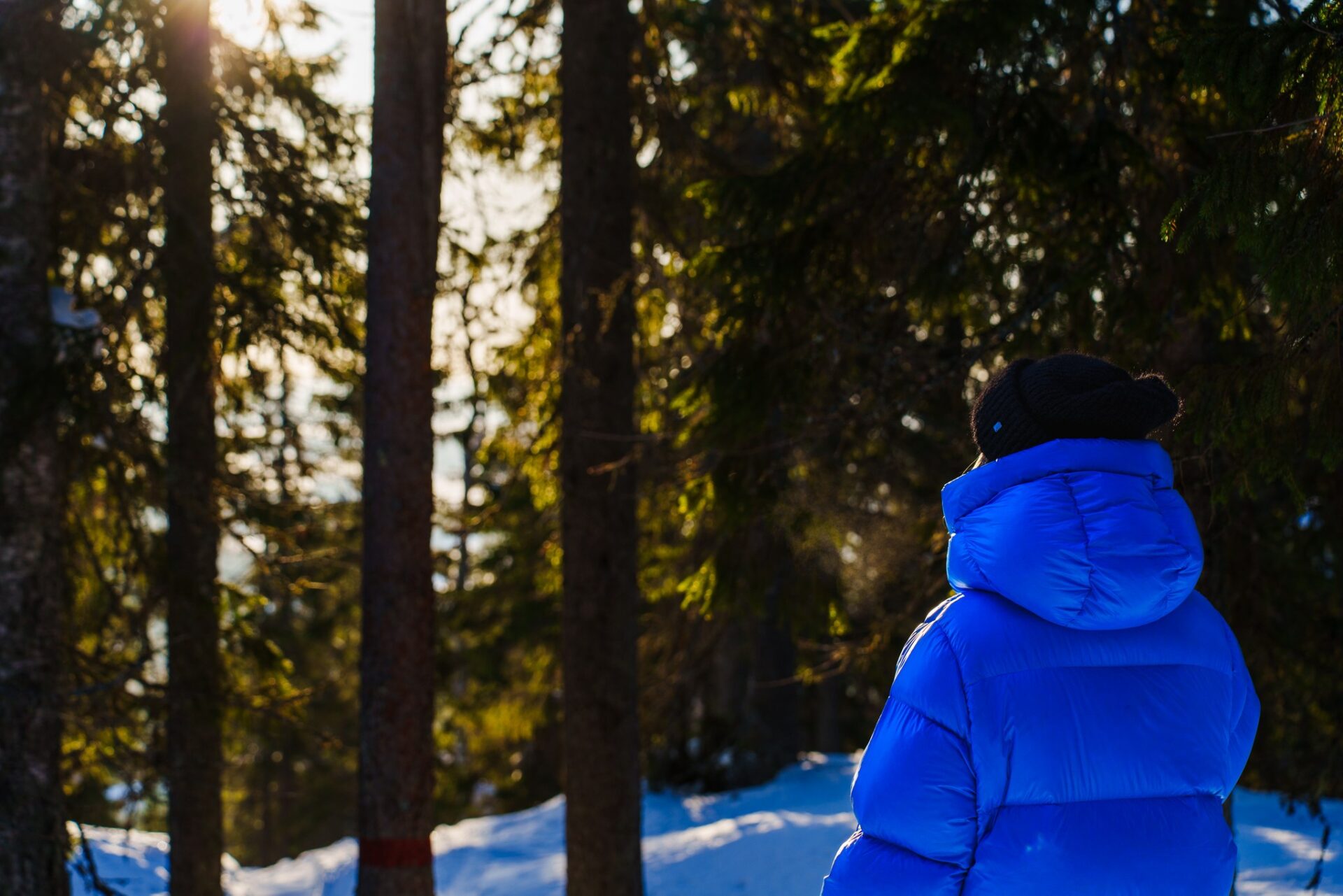 Talvinen ulkoilureitti Tahkolla metsämaisemassa